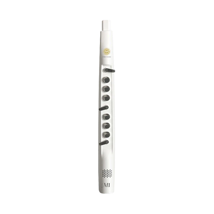 Sunrise Melody M1 Electronic Wind Instrument (EWI)
