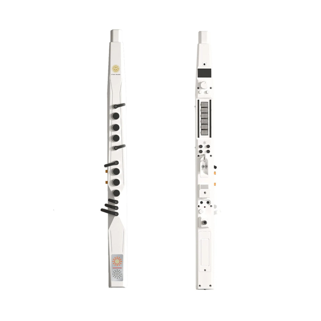 Sunrise Melody MK Electronic Wind Instrument (EWI)