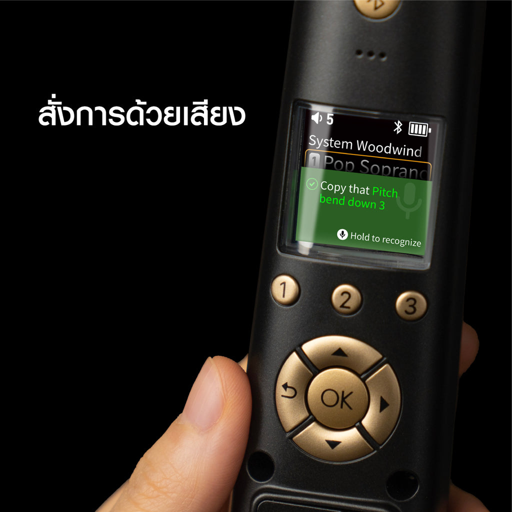 Robkoo Clarii Pro C20 เครื่องเป่าไฟฟ้าสุดพรีเมี่ยม  ผ่อน 0% 10 เดือน รับประกัน 1 ปี ส่งฟรี