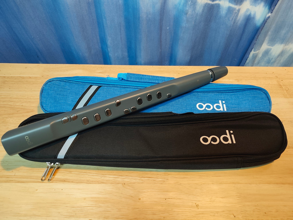 กระเป๋าใส่ Oodi C2/ Clarii mini / M1