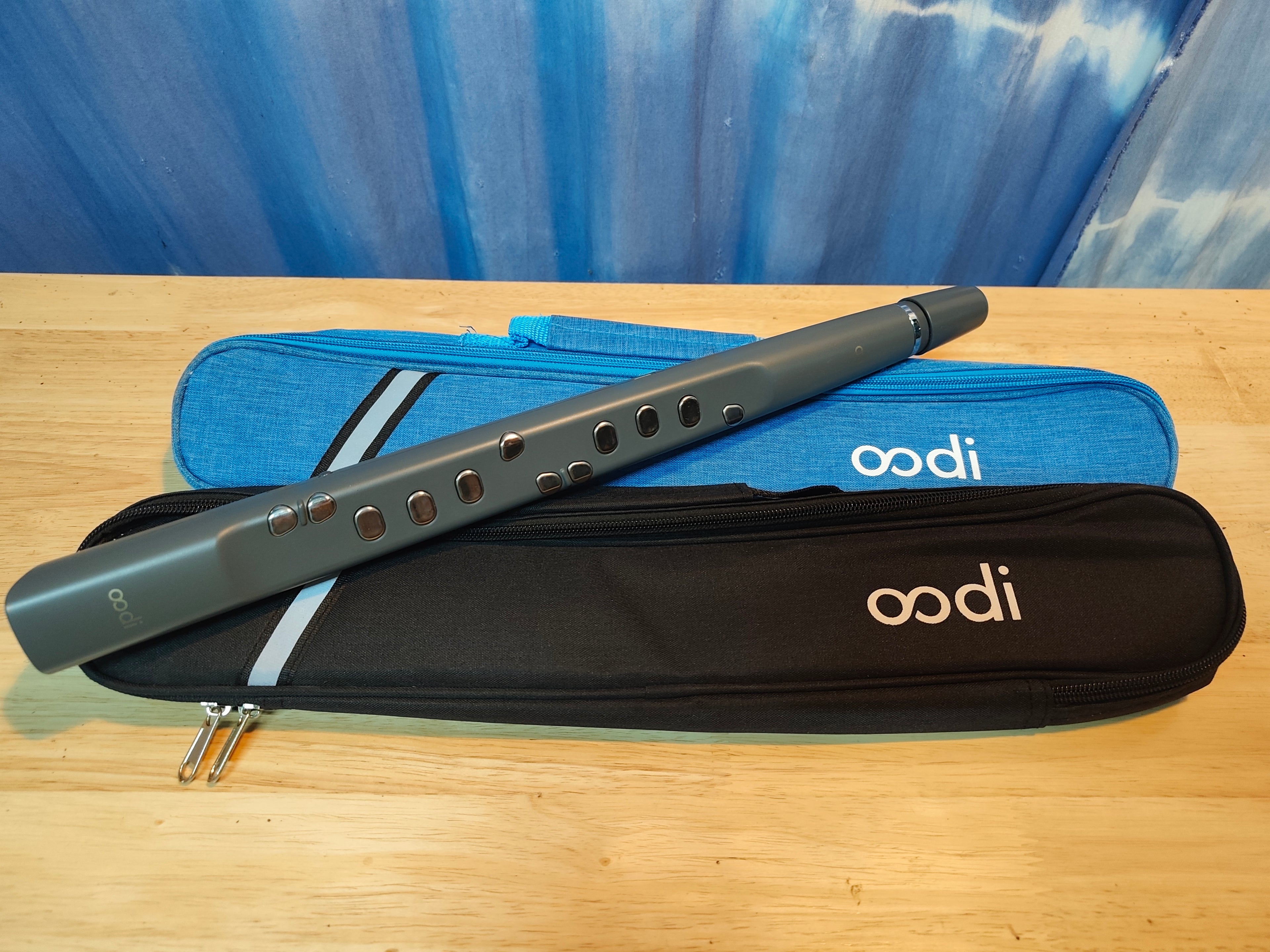 กระเป๋าใส่ Oodi C2/ Clarii mini / M1